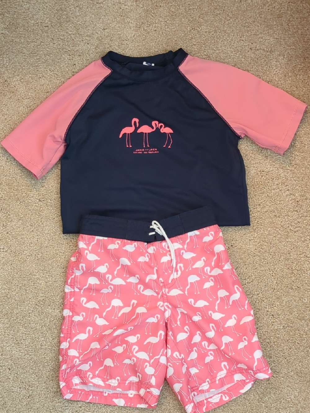 Janie and Jack Flamingo Swim Shorts And Rashgaurd